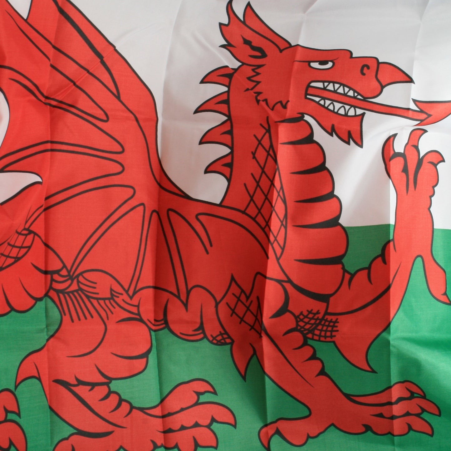 Welsh Flag with Rings