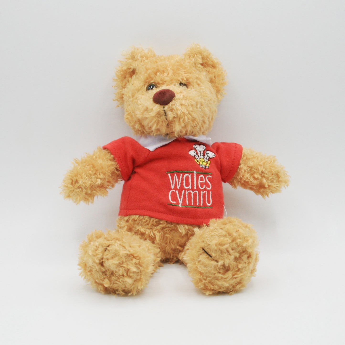Soft Plush Teddy Bear with Rugby Shirt